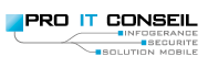Logo Pro IT Conseil